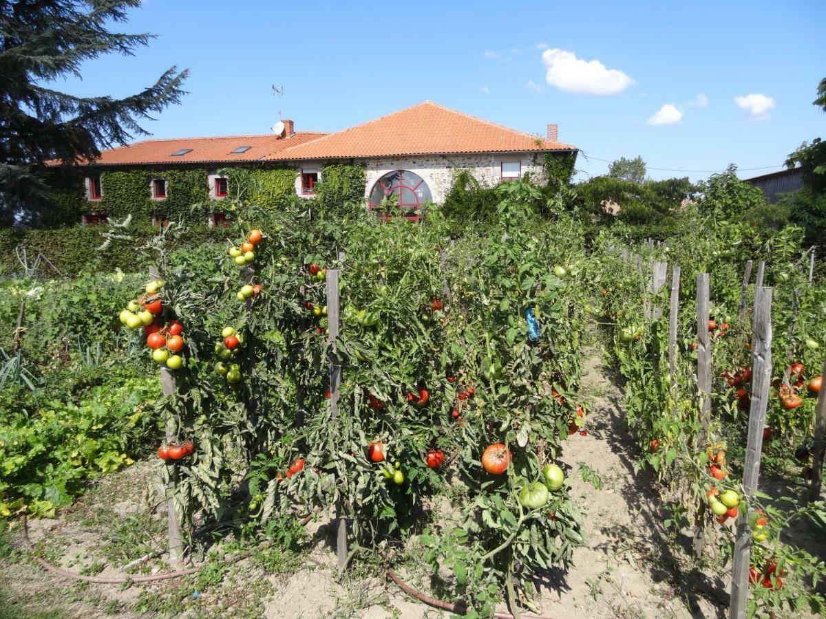 Blanzac  La Ferme De Rouffignac酒店 外观 照片